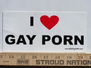 I love gay porn magnetic bumper sticker